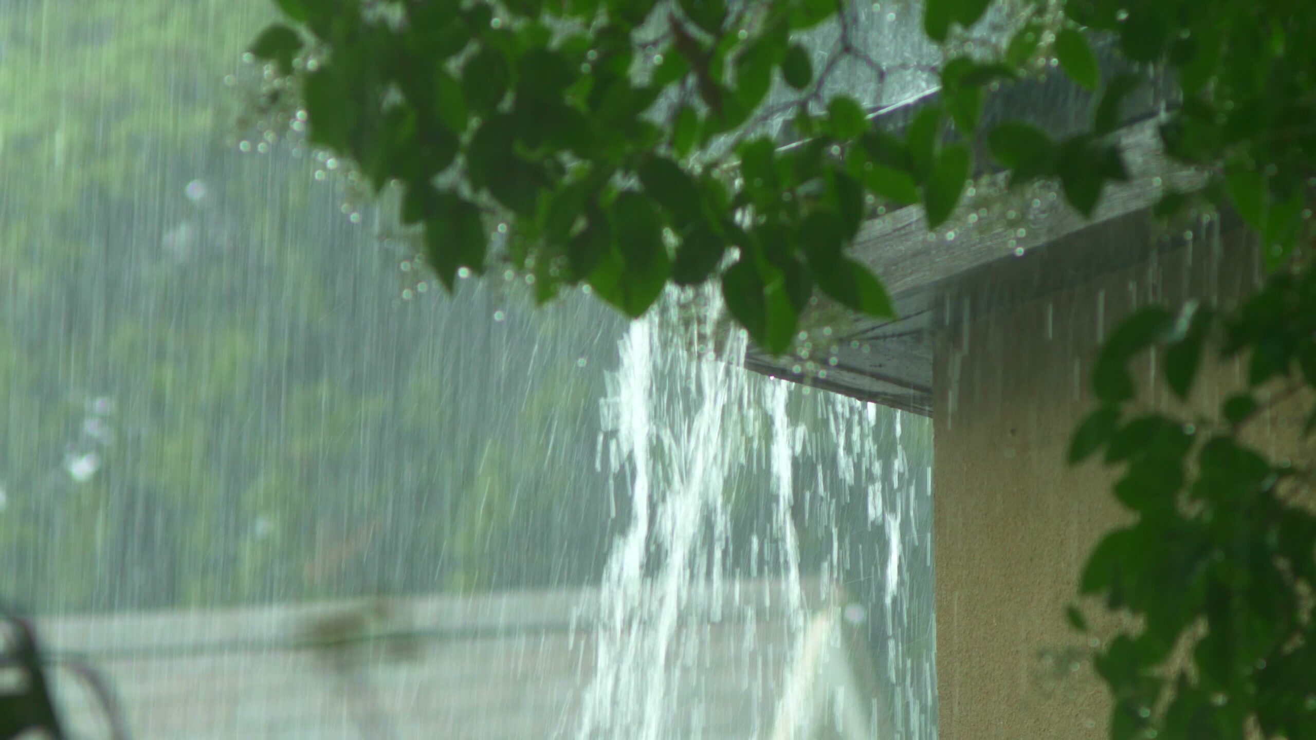 Rain flows from a house roof into a gutter during rain. close-up