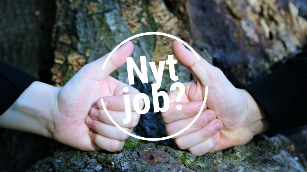 Lokale jobs i Nykøbing Falster
