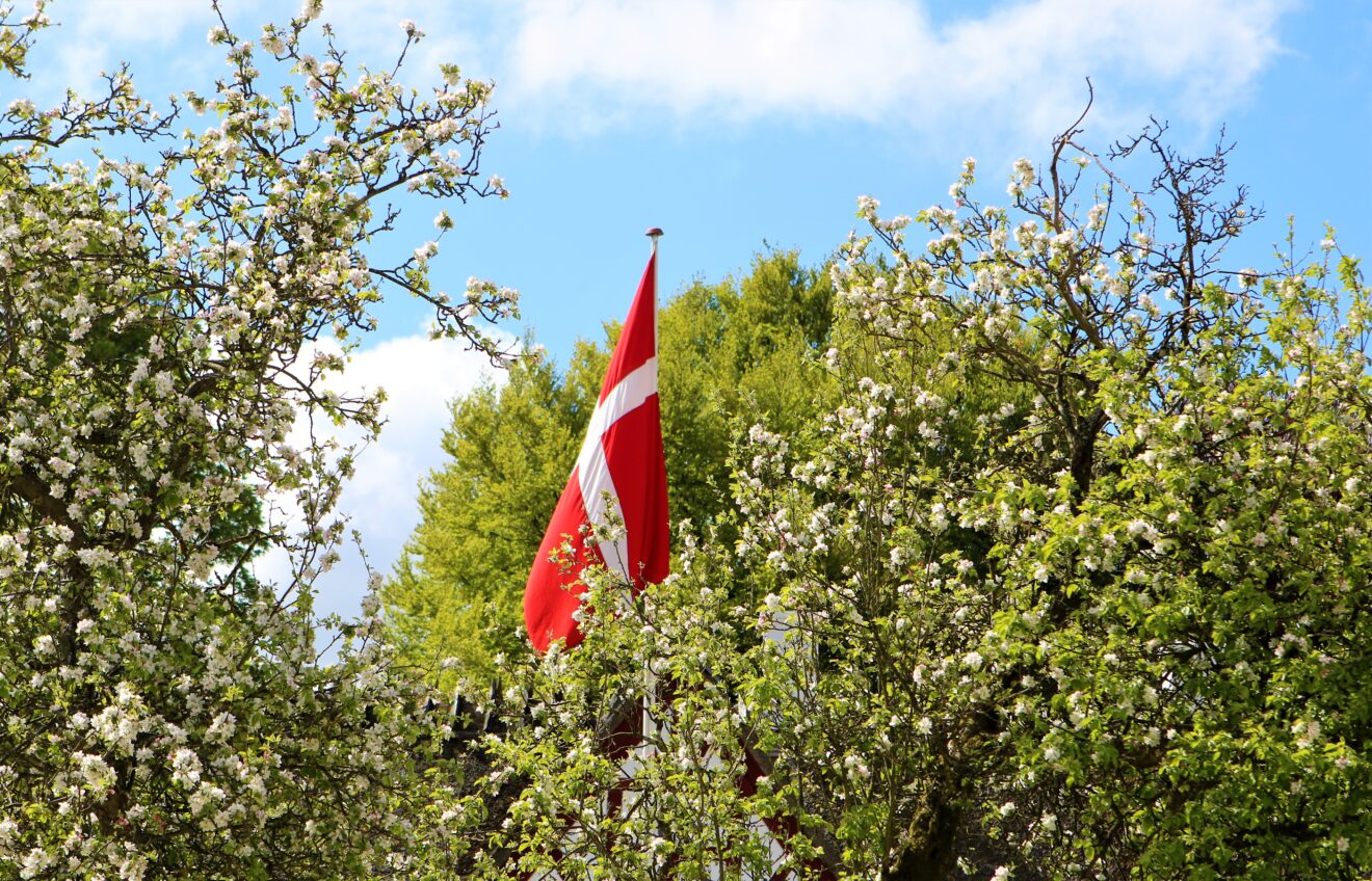 Flagdag for Danmarks udsendte